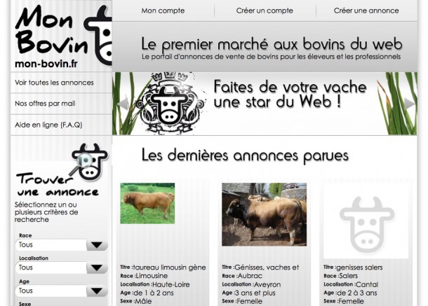 vache-star-du-web.jpg