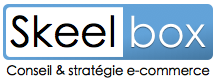 conseil-ecommerce-skeelbox.png