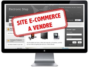 site e-commerce a vendre